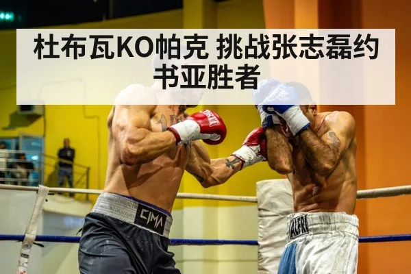 杜布瓦KO帕克 挑战张志磊约书亚胜者